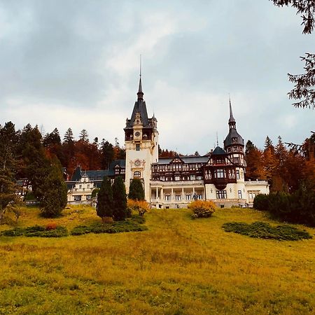 Wood Studio Sinaia Dış mekan fotoğraf