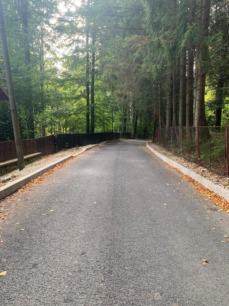 Wood Studio Sinaia Dış mekan fotoğraf