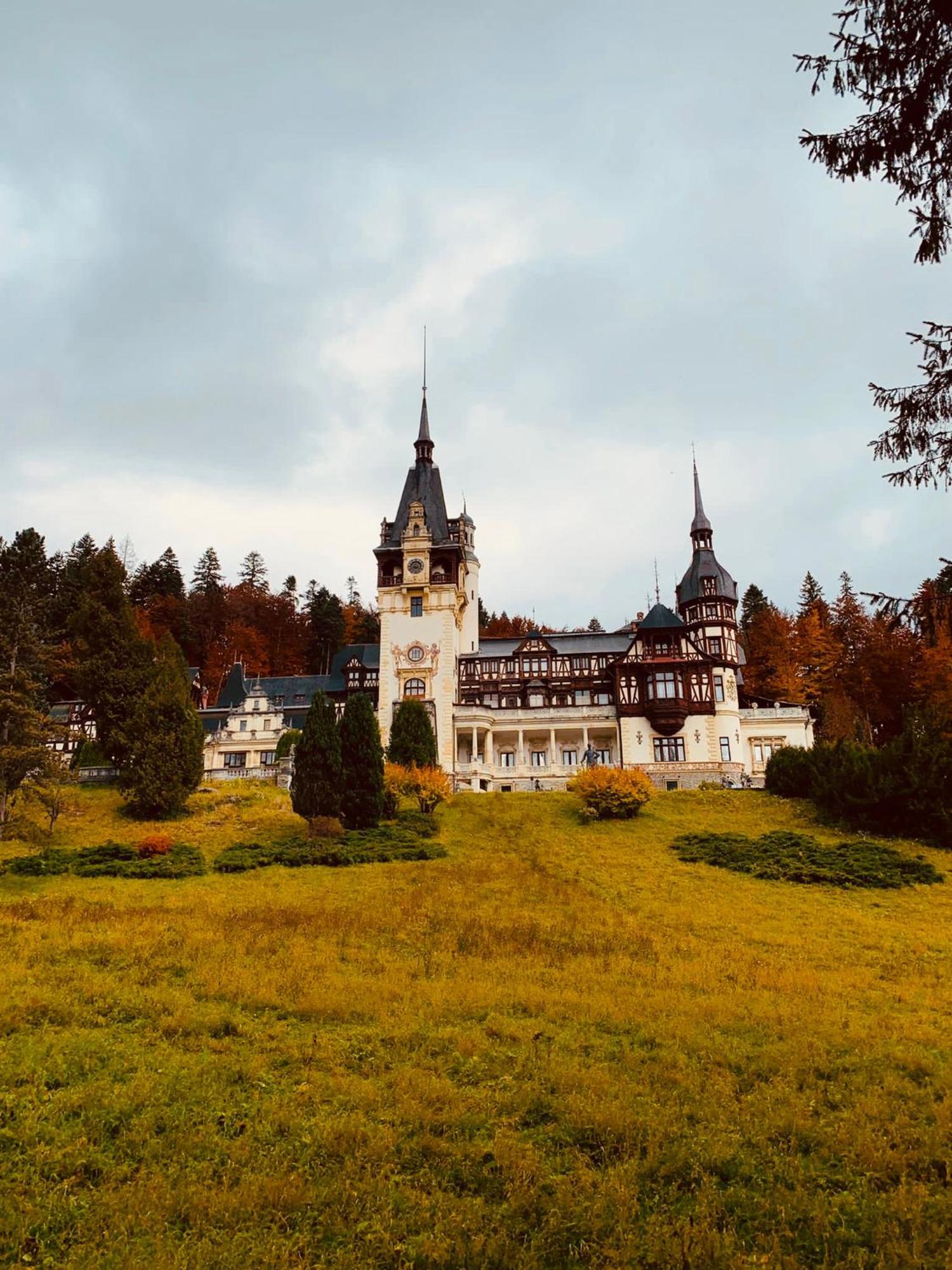 Wood Studio Sinaia Dış mekan fotoğraf